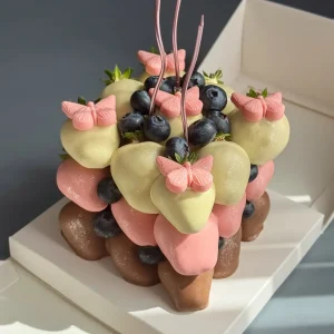 MARIPOSAS DE ENSUEÑO